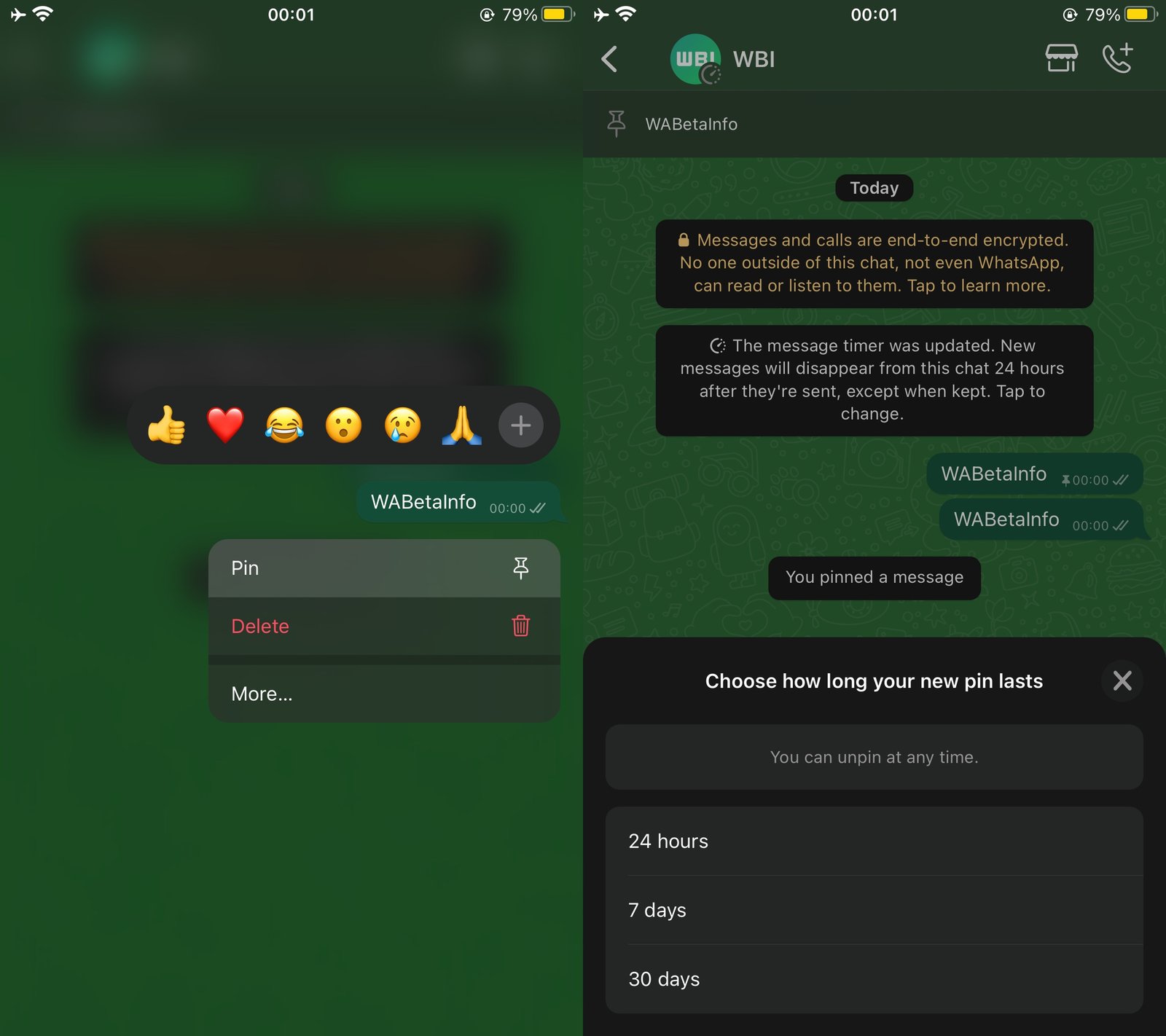 An screenshot showing the option to pin messages on WhatsApp in iOS
