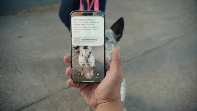 Discover Visual Intelligence on the iPhone 16 Pro: Identify Objects and Scenes Apple's Visual Intelligence in action: Identifying an Australian Cattle Dog with the iPhone 16 Pro.